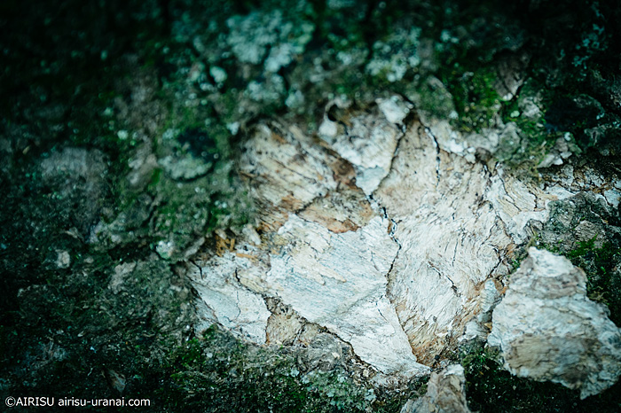 ツインレイ ランナー チェイサー 三次元でのカルマ大清算 アイリス占いツインレイ